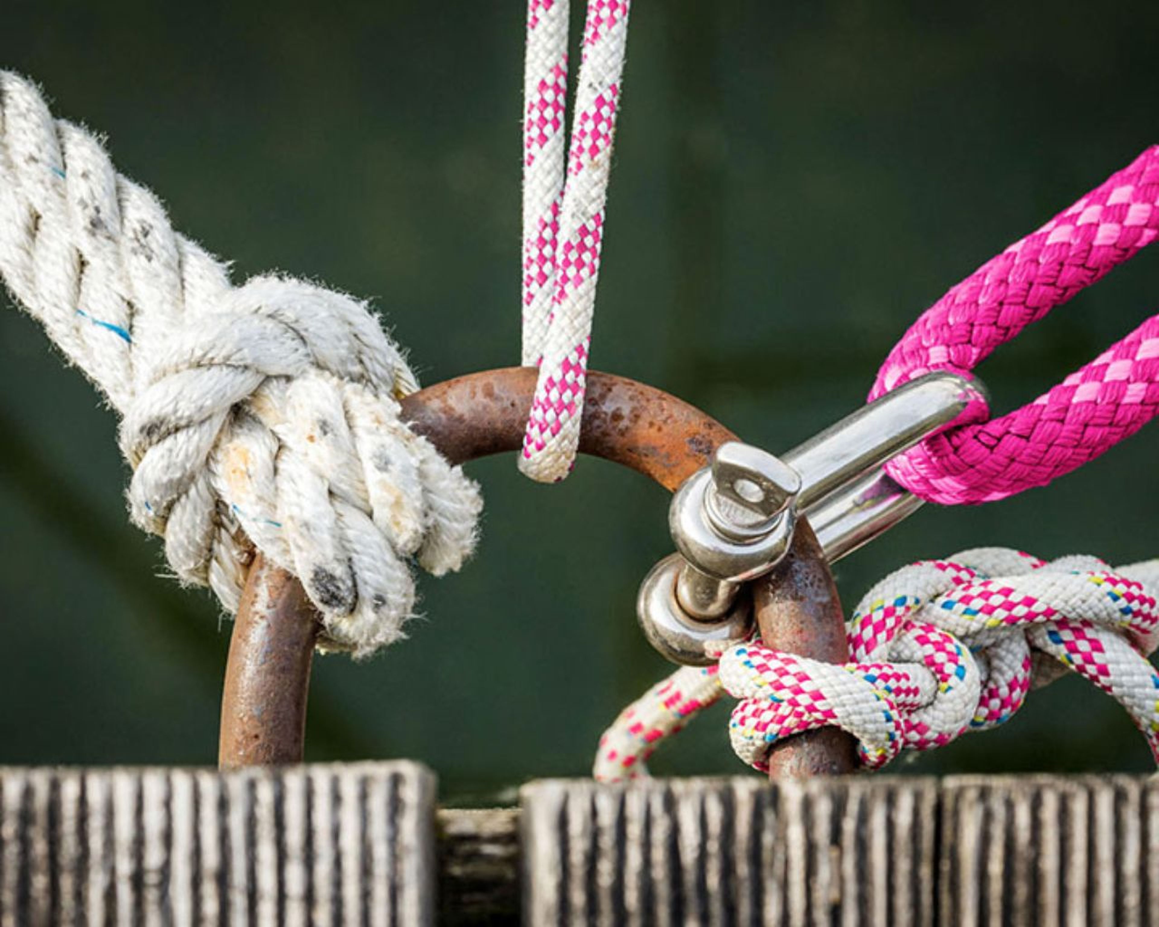 Detailný záber lán priviazaných k hrdzavému kovovému krúžku na drevenom povrchu. Dve laná sú biele a jedno ružové s pripevnenou kovovou sponou.