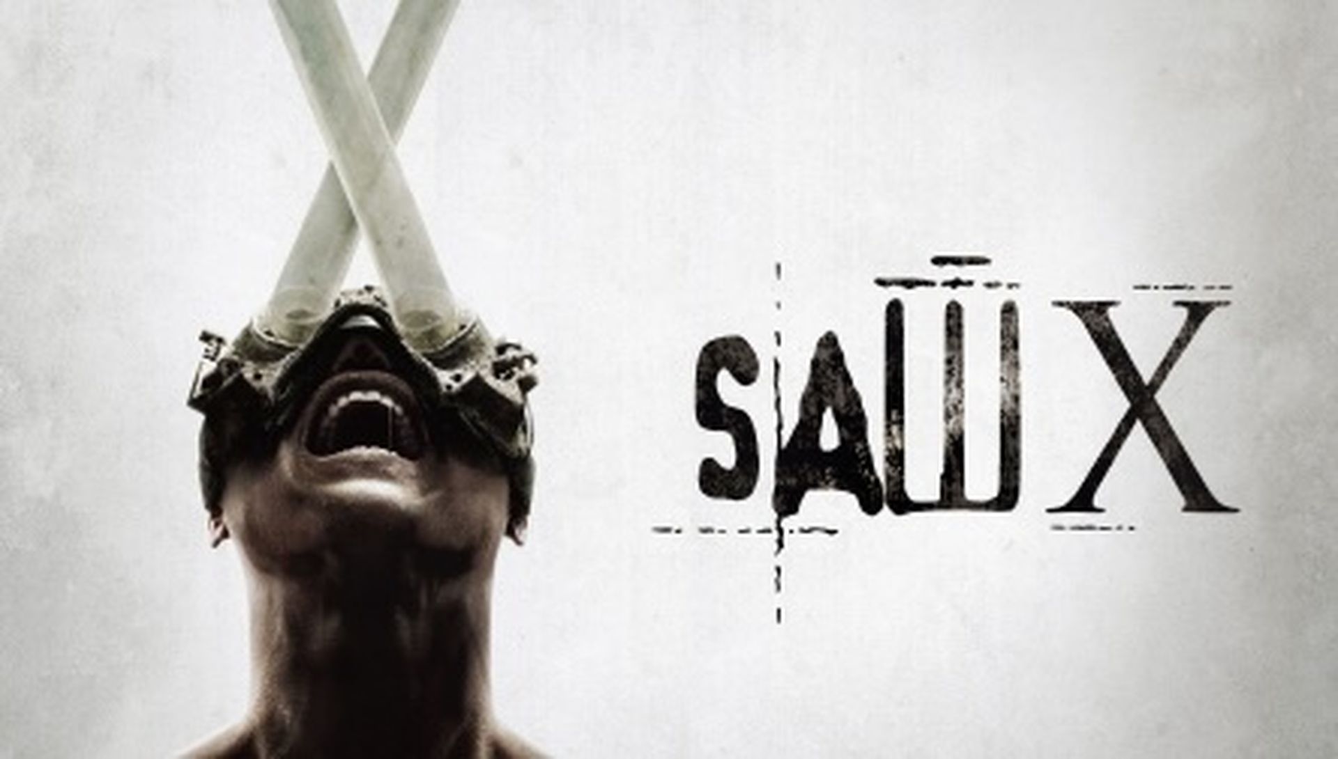 SAW X