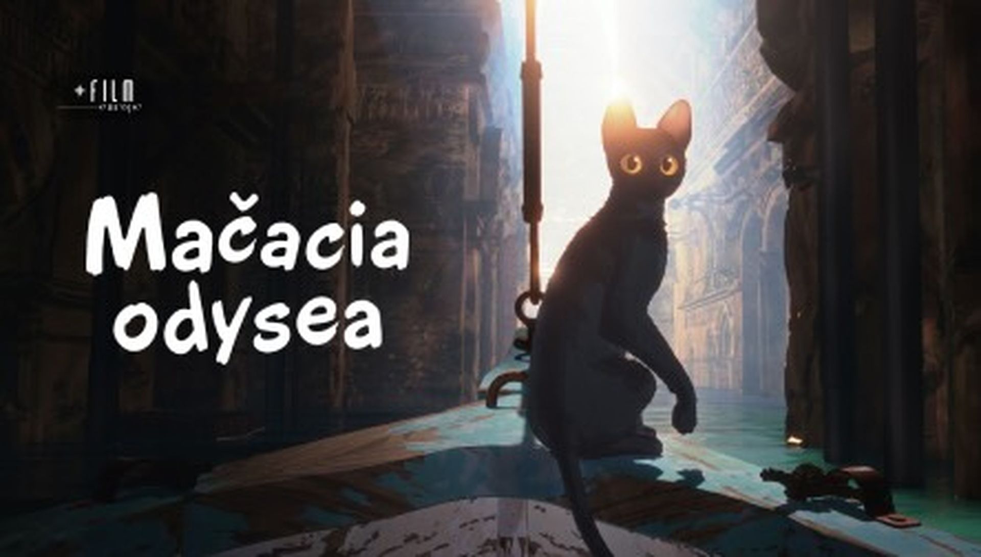 Mačacia odysea