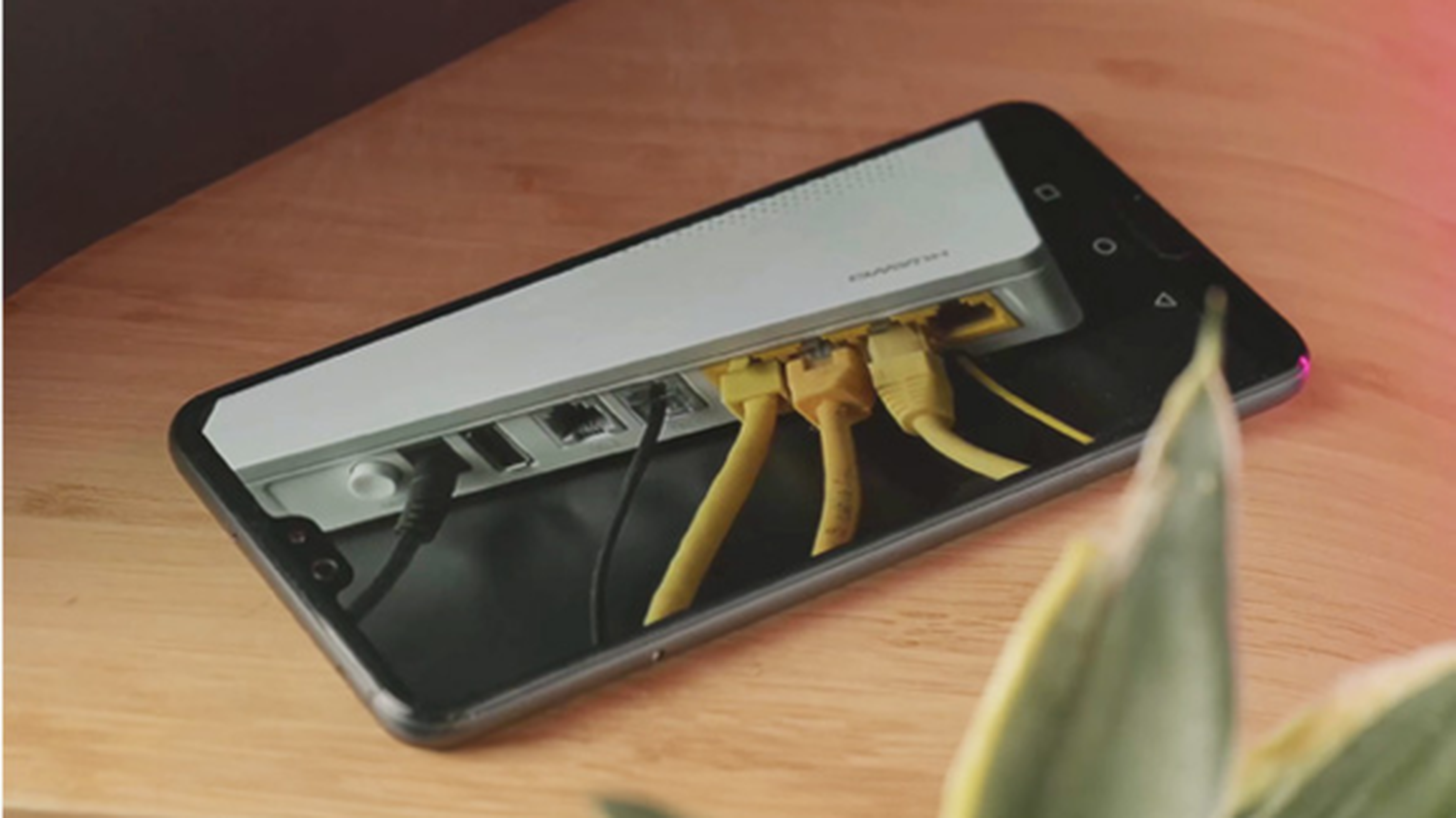 Smartfón zobrazujúci obrázok routera s pripojenými žltými ethernetovými káblami, umiestnený na drevenom povrchu v blízkosti rastliny.